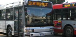 arrivare-in-autobus